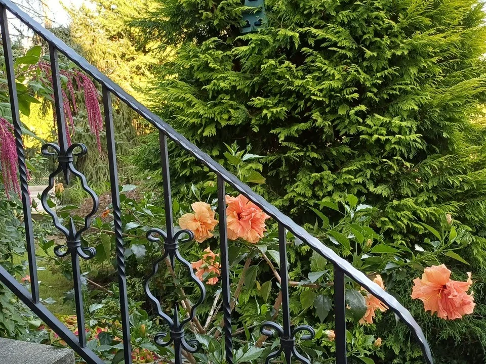 Mit Blumen geschmückter Eingangsbereich der Pension Kubenz